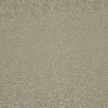 Casamance - Azalea - 36190255 Tourterelle