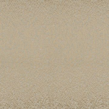 Casamance - Azalea - 36190542 Champagne