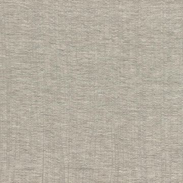 Casamance - Ombre - 36290468 Ficelle