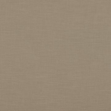 Casamance - Addict - 36740116 Tourterelle