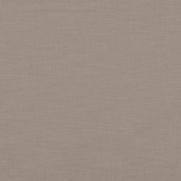 Casamance - Addict - 36740734 Elephant