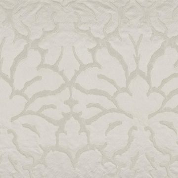 Casamance - Saint Louis - 36990243 Nacre