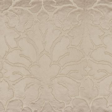 Casamance - Saint Louis - 36990388 Pra Line