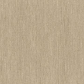 Casamance - Jerico - Acoara Chamapgne 73490202