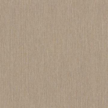 Casamance - Jerico - Acoara Praline 73490304