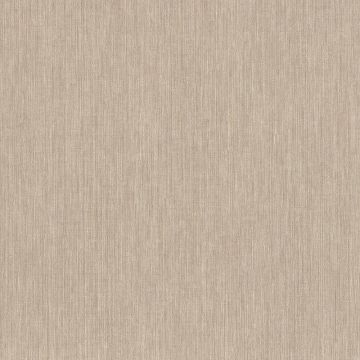 Casamance - Jerico - Acoara Nacre 73490814