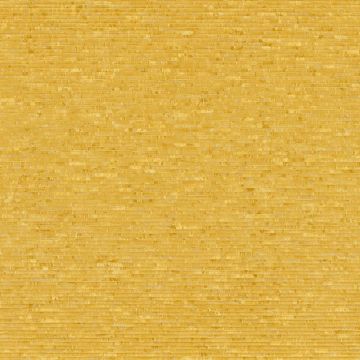 Casamance - Jerico - Capim Banane 73500650