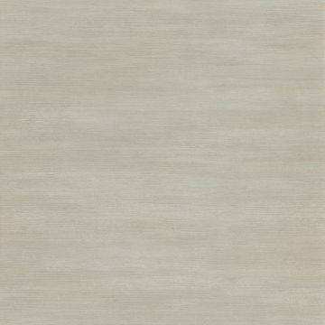 Casamance - Shadows - Vivacite - 73530304 Champagne