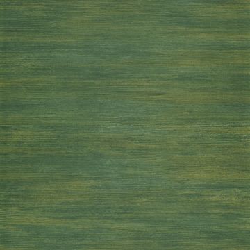 Casamance - Shadows - Vivacite - 73532038 Vert Mousse