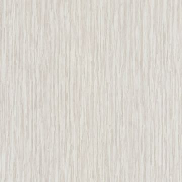 Casamance - Sankara - Koa - 73590111 Creme