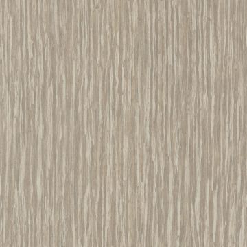 Casamance - Sankara - Koa - 73590315 Beige