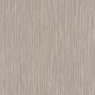 Casamance - Sankara - Koa - 73590417 Taupe Clair