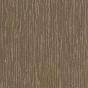 Casamance - Sankara - Koa - 73590825 Gingembre