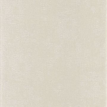 Casamance - Synopsis - Focus - 73720120 Blanc