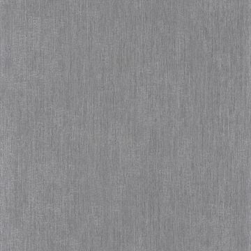 Casamance - Synopsis - Focus - 73720222 Gris