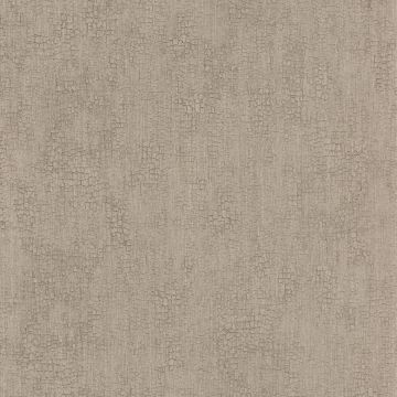 Casamance - Synopsis - Focus - 73720324 Beige Moyen