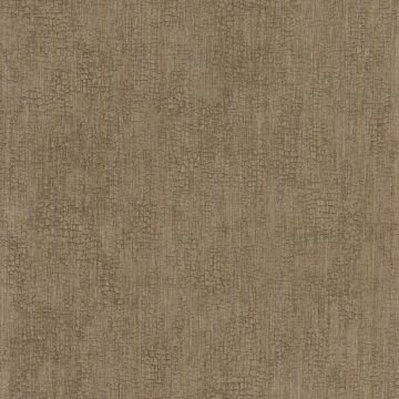 Casamance - Synopsis - Focus - 73720426 Beige Fonce