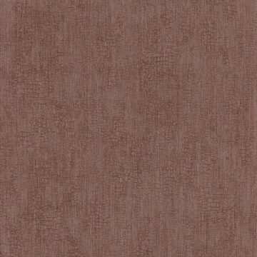 Casamance - Synopsis - Focus - 73720528 Orange Brulee