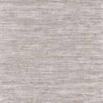 Casamance - Synopsis - Cadrage - 73740274 Champagne