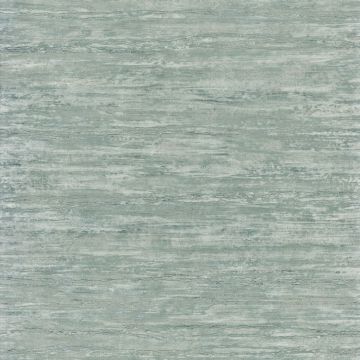 Casamance - Synopsis - Cadrage - 73740478 Vert De Gris