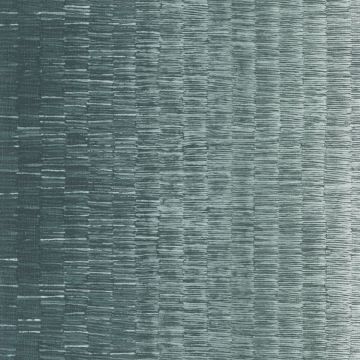 Casamance - Synopsis - Ellipse - 73750386 Celadon