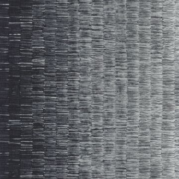 Casamance - Synopsis - Ellipse - 73750480 Orage