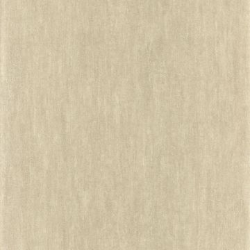 Casamance - Synopsis - Instantane - 73790136 Blanc