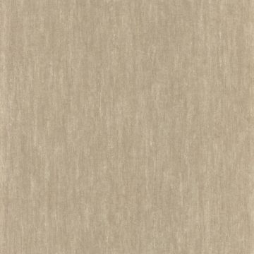 Casamance - Synopsis - Instantane - 73790238 Beige Clair