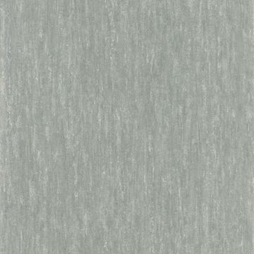 Casamance - Synopsis - Instantane - 73790340 Vert D'Eau