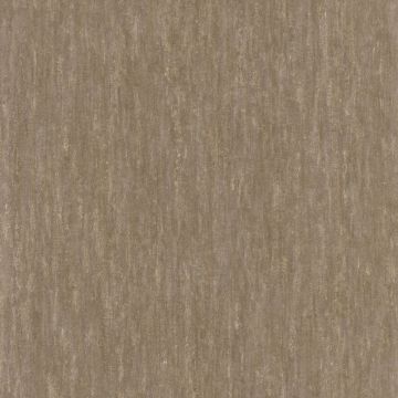 Casamance - Synopsis - Instantane - 73790442 Beige Fonce