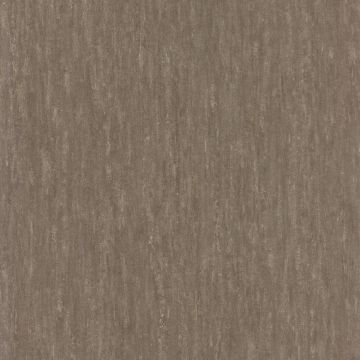 Casamance - Synopsis - Instantane - 73790544 Taupe