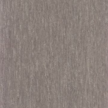 Casamance - Synopsis - Instantane - 73790646 Violet