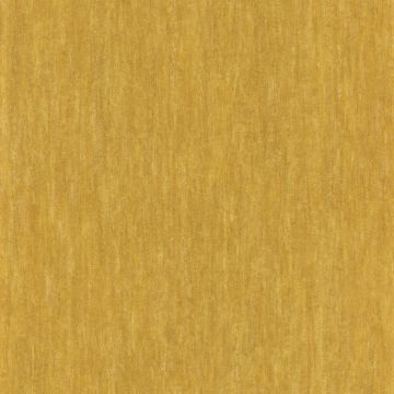 Casamance - Synopsis - Instantane - 73790850 Jaune Or