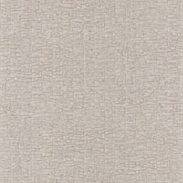 Casamance - Malanga - Caiman - 74070222 Mastic