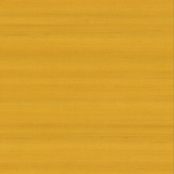 Casamance - La Soie - Mori - 74173335 Curry