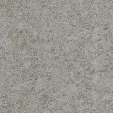 Casamance - Pampille - Lazare - 74230588 Tourterelle