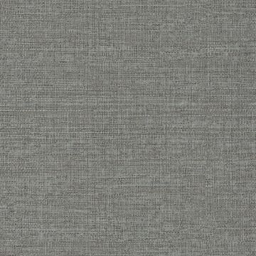 Casamance - Rio Madeira - Carioca - 74250814 Tourterelle