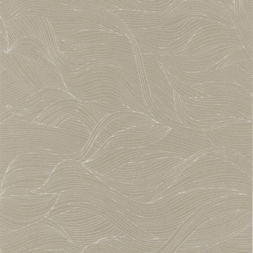 Casamance - Blossom - Alula - 74360314 Taupe