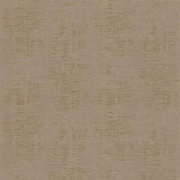 Casamance - Mansour - Johara - 74392208 Marine