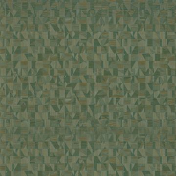 Casamance - Mansour - Tiznit - 74400650 Vert