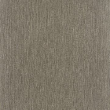 Casamance - Ceylan - Goa - 74510714 Lin