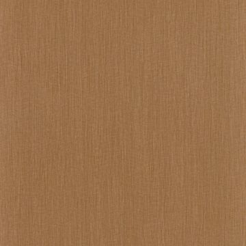 Casamance - Ceylan - Goa - 74512040 Curry