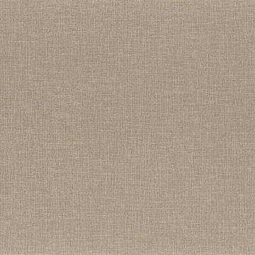 Casamance - La Toile - Filin - 74561324 Champagne