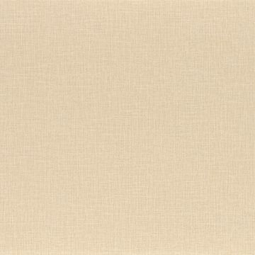 Casamance - La Toile - Filin - 74562344 Coquille