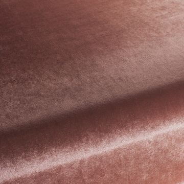 Chivasso - Palazzo Velvet Reloaded - CA1175/065