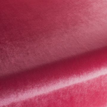 Chivasso - Palazzo Velvet Reloaded - CA1175/066