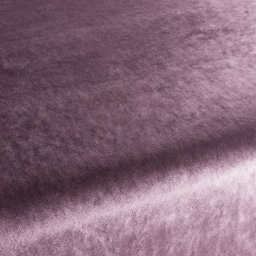 Chivasso - Palazzo Velvet Reloaded - CA1175/069