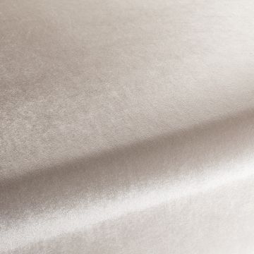 Chivasso - Palazzo Velvet Reloaded - CA1175/075