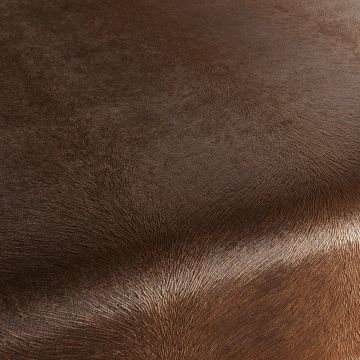 Chivasso - Pistoia Velvet Reloaded - CA1292/027