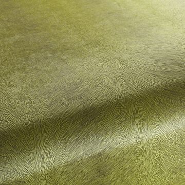 Chivasso - Pistoia Velvet Reloaded - CA1292/031